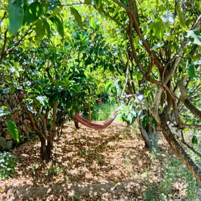 hidden gem house (28)
