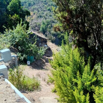 hidden gem house (3)